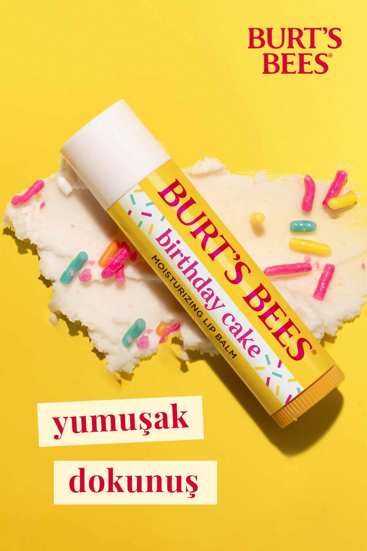 Birthday Cake Dudak Kremi Blister Ambalaj 4.25gr